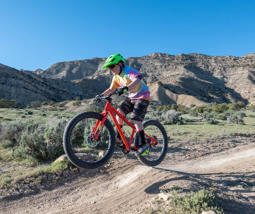 best-kids-mountain-bike-brands