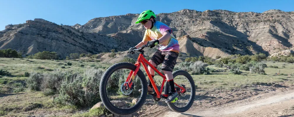 Best MTB Bike Brands for Kids