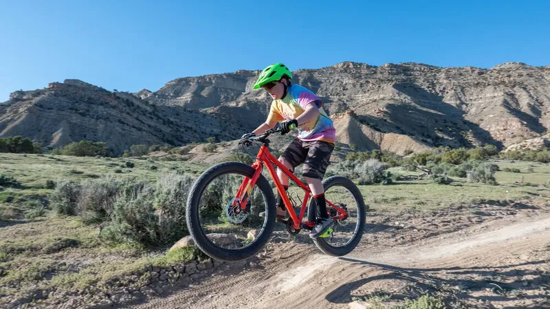 Best MTB Bike Brands for Kids