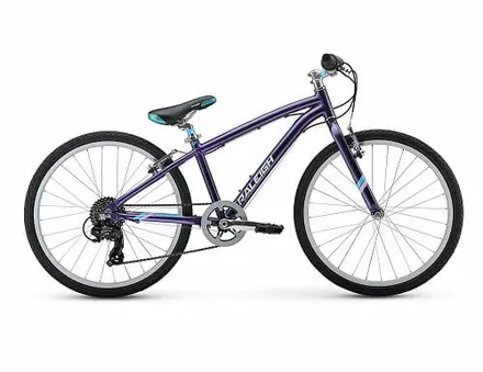 Raleigh Alysa Girls 24 inch Bikes