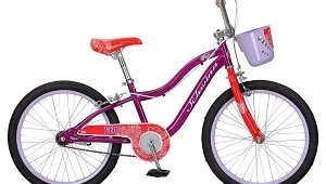Schwinn Elm Bike Review