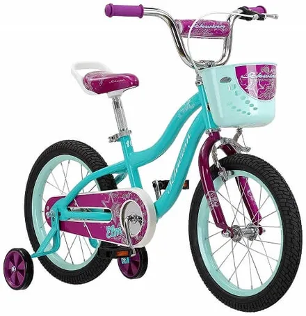 Schwinn Elm Bike (BEST GIRLS’ BIKE)