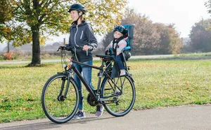 Schwinn Deluxe Bicycle Mounted Child Carrier