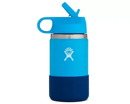 Hydro Flask Wide Mouth 2.0 Bottle